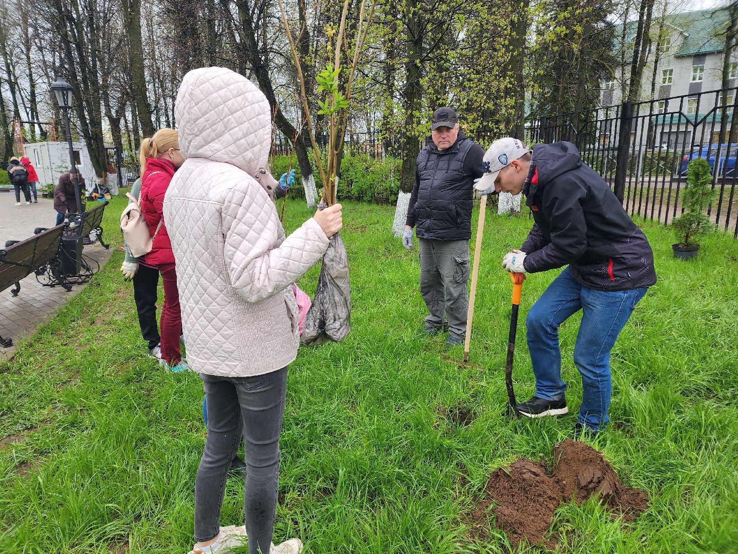 день добрых дел, высадка деревьев,