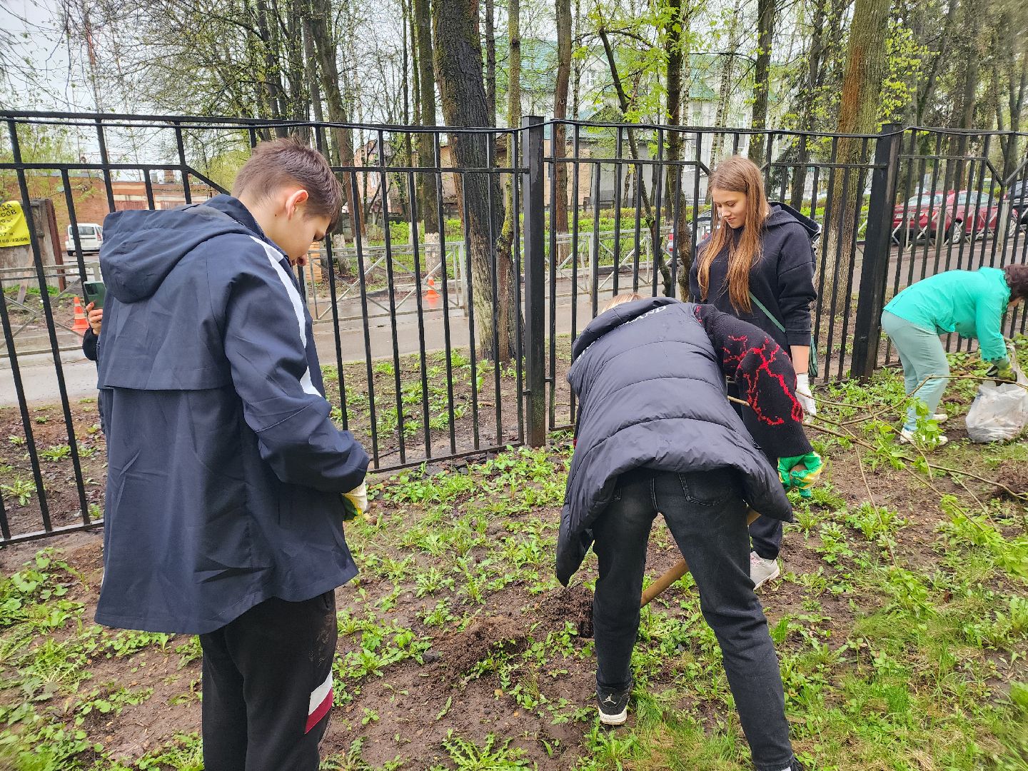 день добрых дел, высадка деревьев,