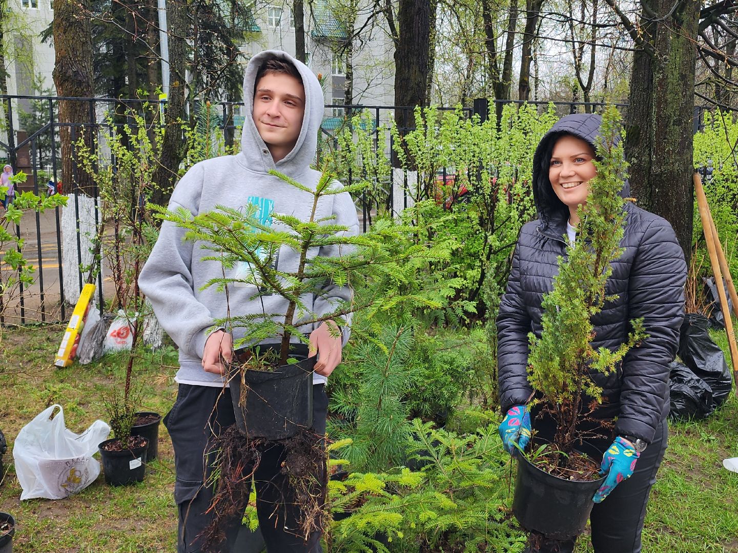 день добрых дел, высадка деревьев,