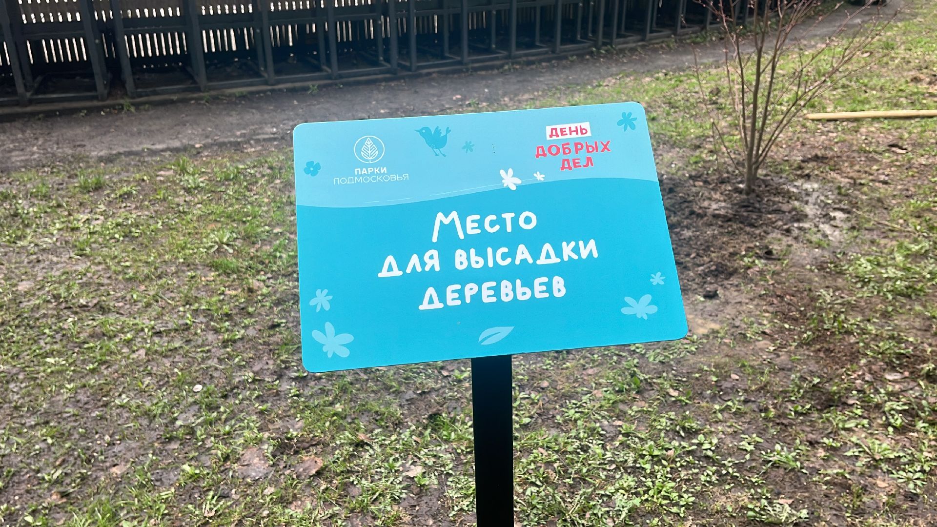 парк, парк пехорка, день добрых дел,