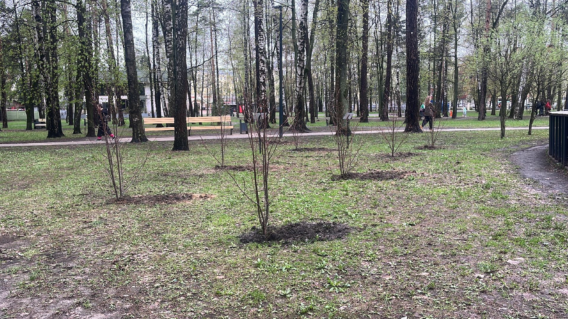 парк, парк пехорка, день добрых дел,