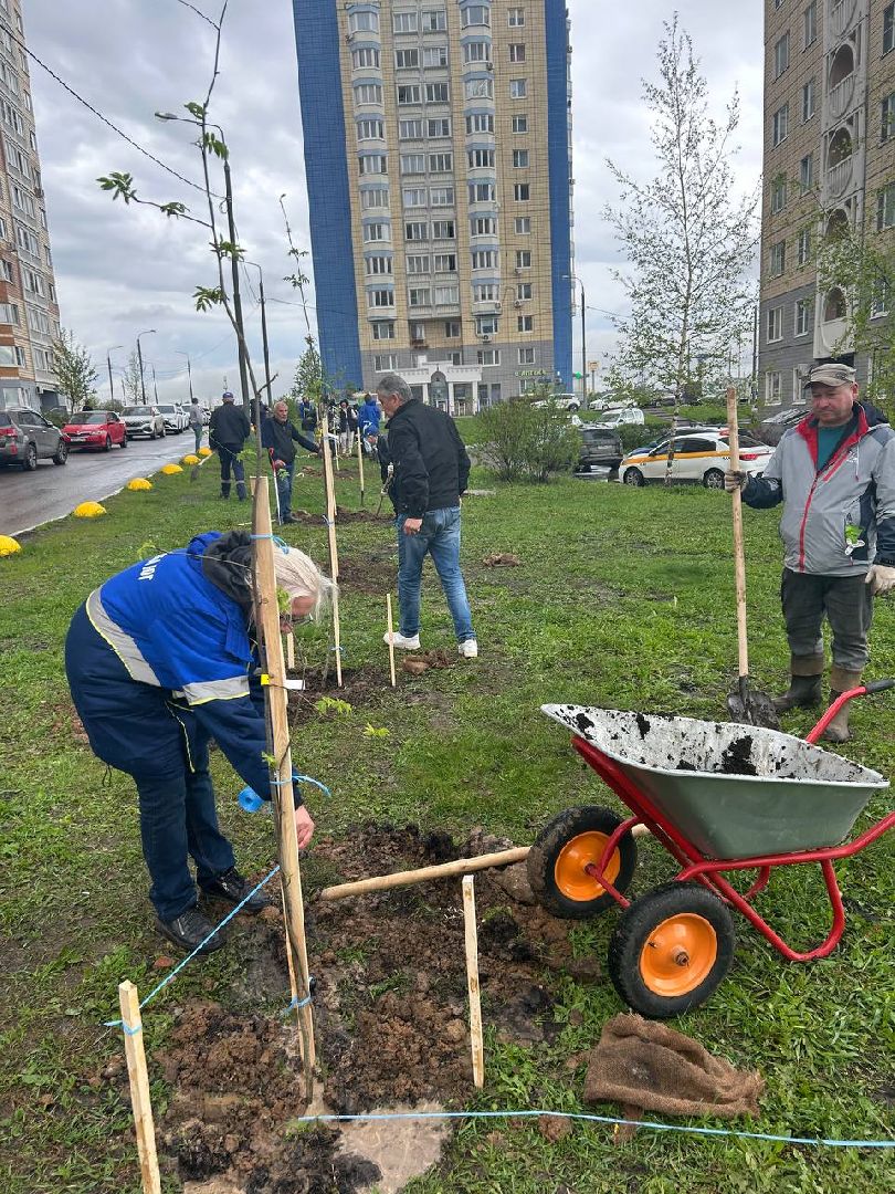 День добрых дел, мкр Южный, субботник, Домодедово,
