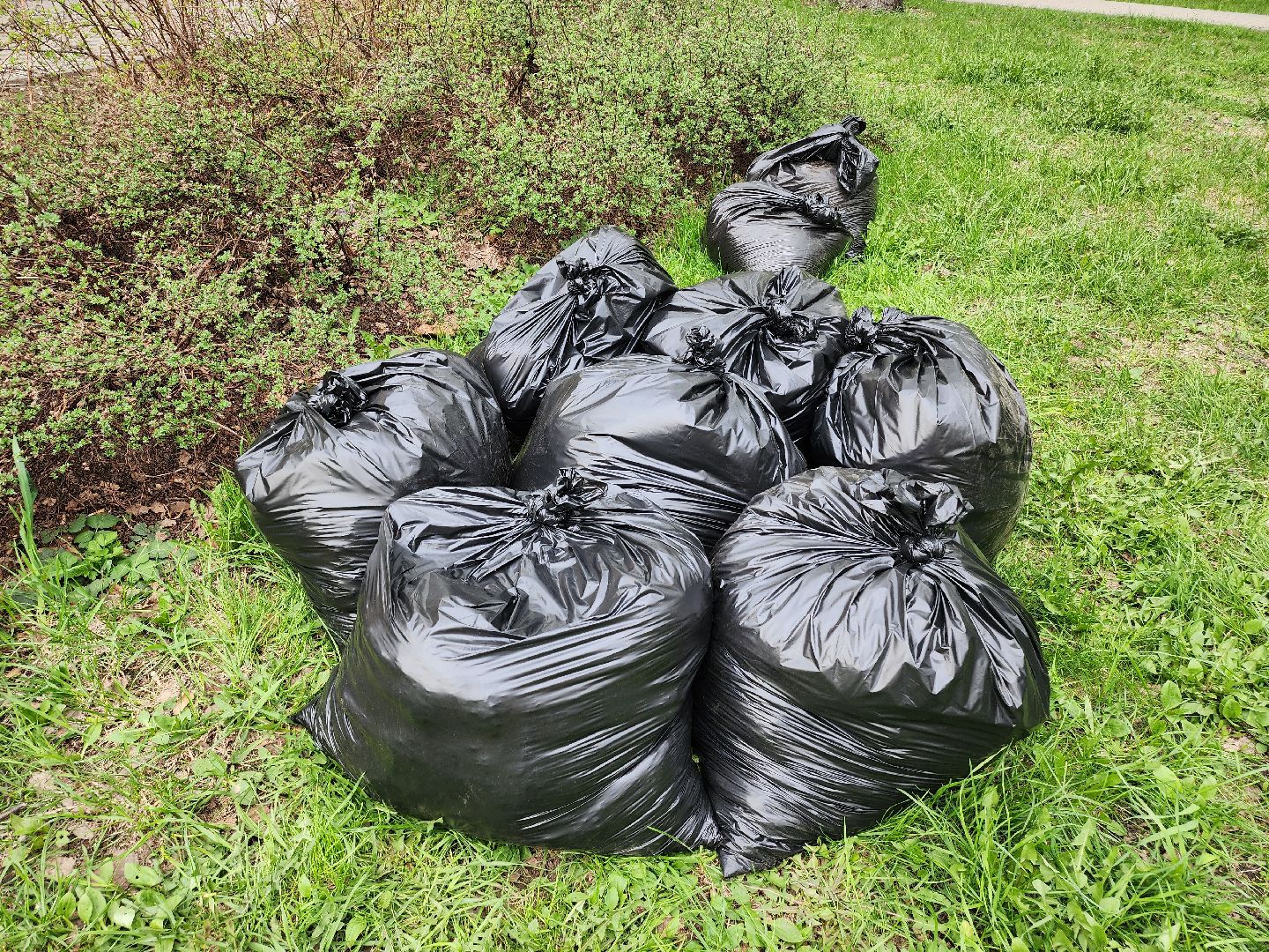 Субботник, Мытищи, Парк мира,