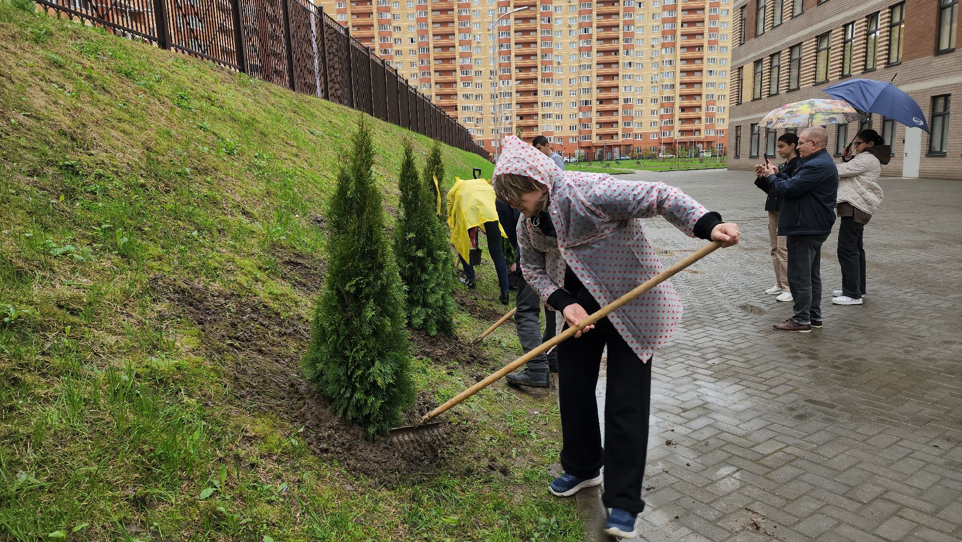 день добрый дел, общероссийский субботник, посадка деревьев,