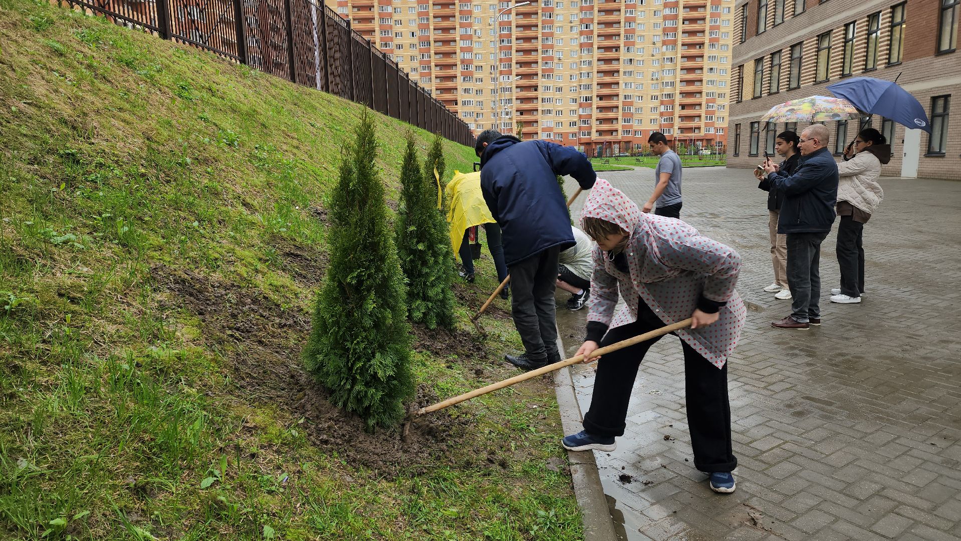 день добрый дел, общероссийский субботник, посадка деревьев,