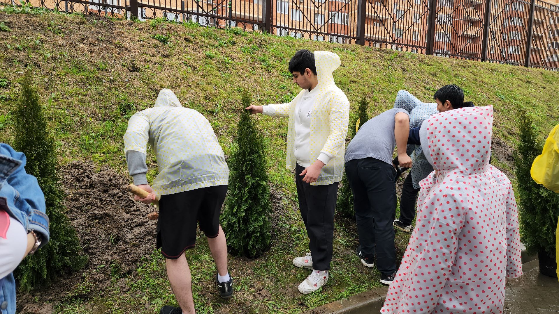 день добрый дел, общероссийский субботник, посадка деревьев,