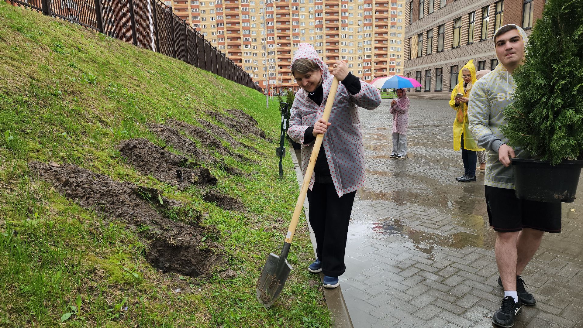 день добрый дел, общероссийский субботник, посадка деревьев,