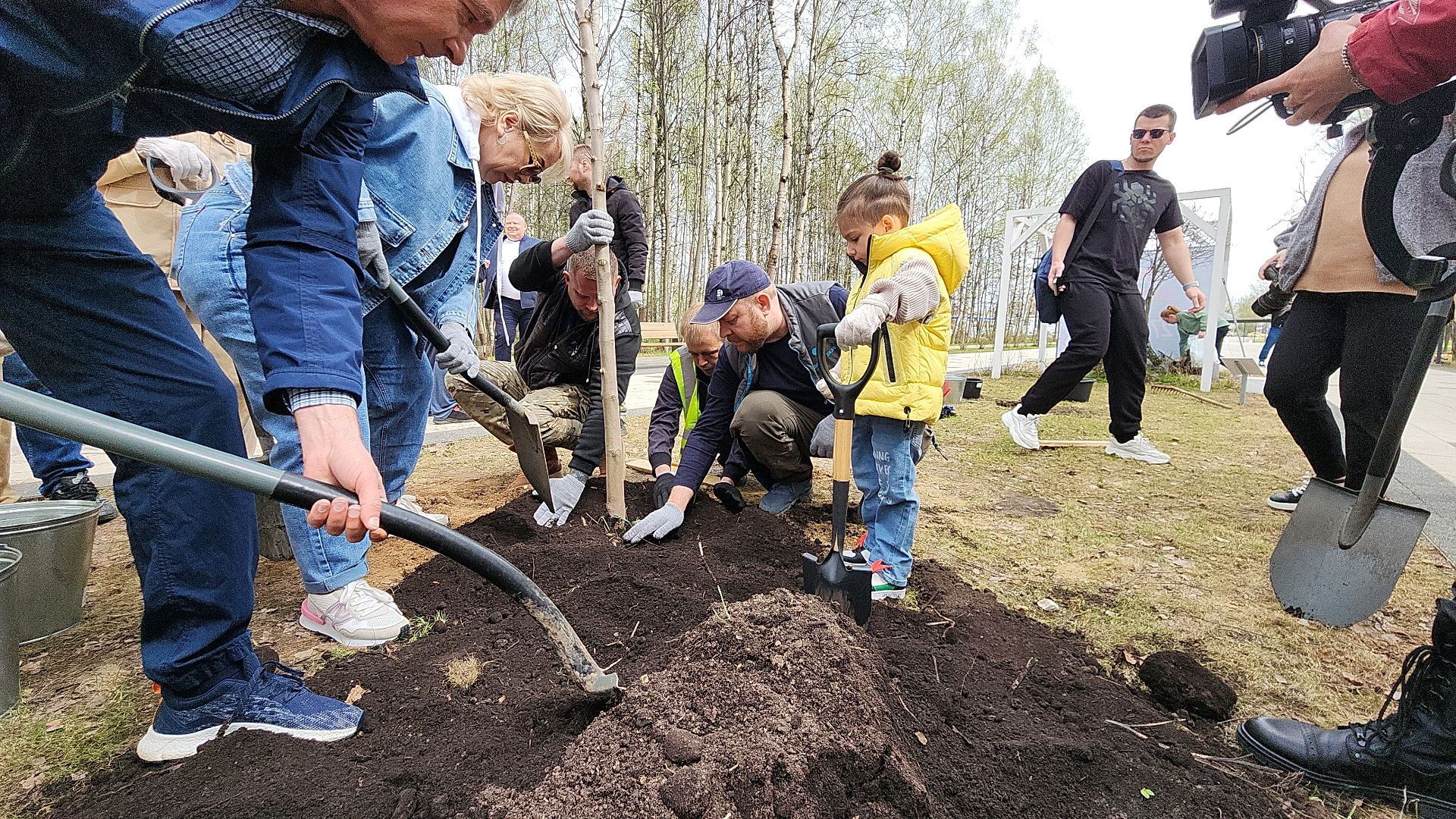 электросталь, мой город, жители города, акция, доброе дело, день добрых дел, субботник, посадка деревьев,