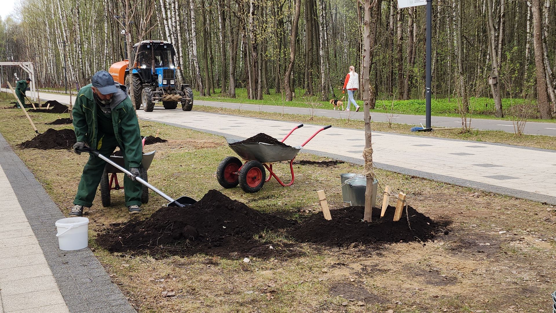 электросталь, мой город, жители города, акция, доброе дело, день добрых дел, субботник, посадка деревьев,