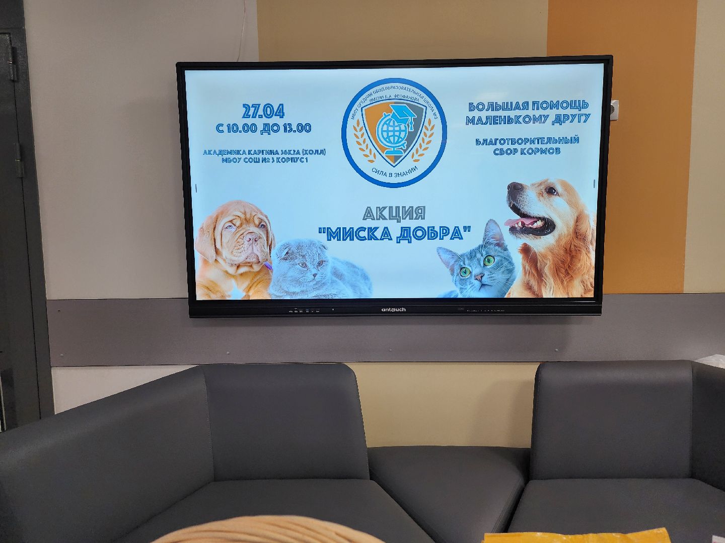 благотворительная акция, Сбор корма для животных, День добрых дел,