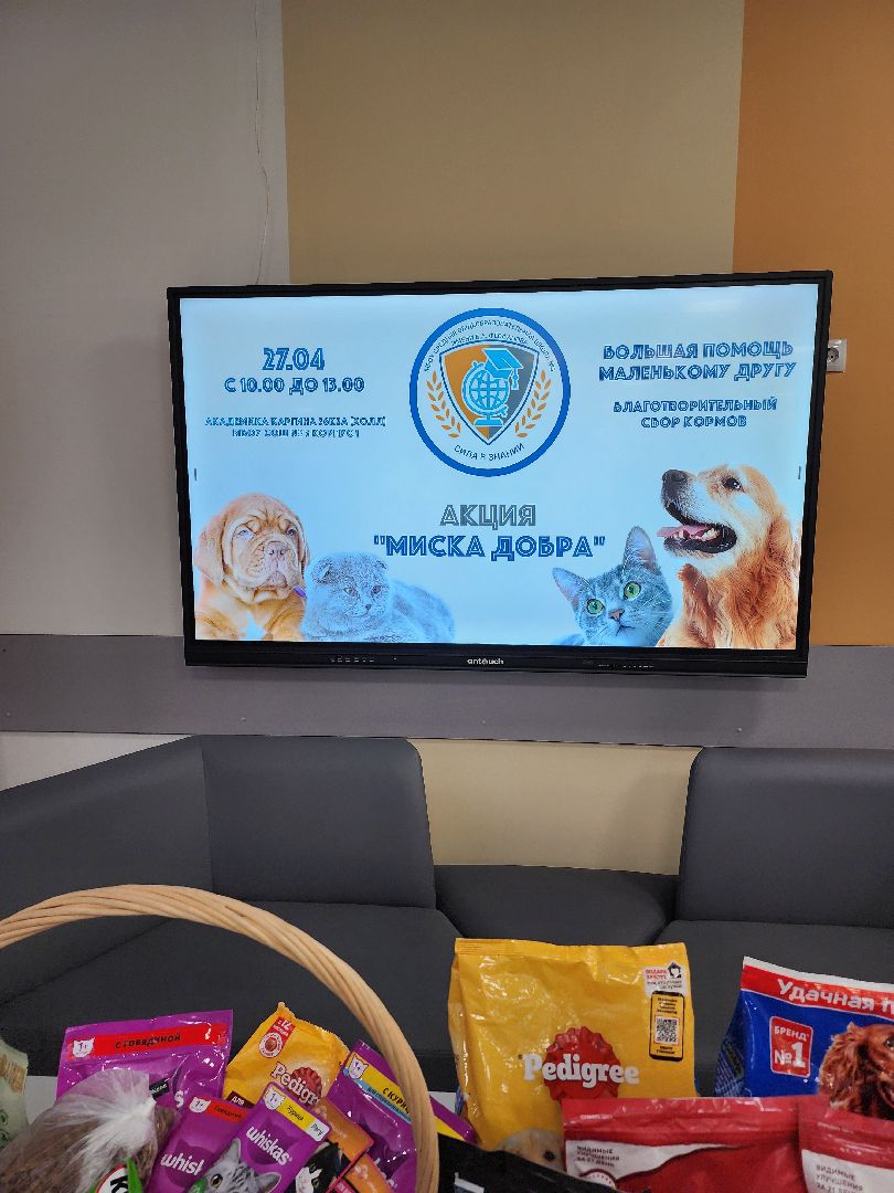 благотворительная акция, Сбор корма для животных, День добрых дел,