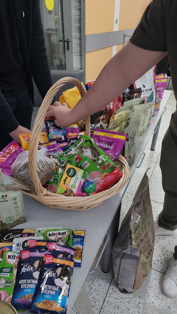 благотворительная акция, Сбор корма для животных, День добрых дел,