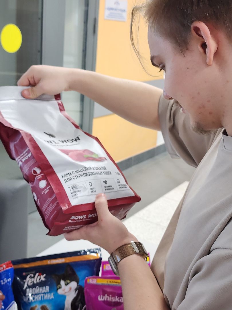 благотворительная акция, Сбор корма для животных, День добрых дел,