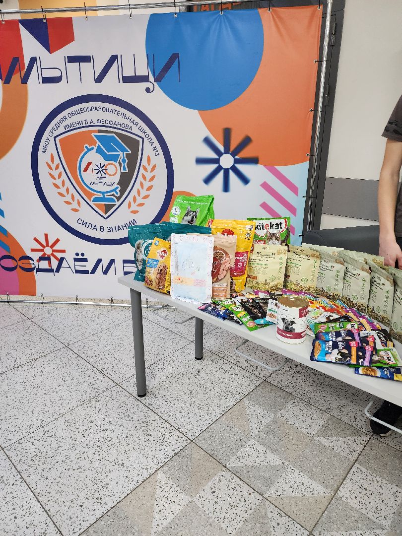 благотворительная акция, Сбор корма для животных, День добрых дел,