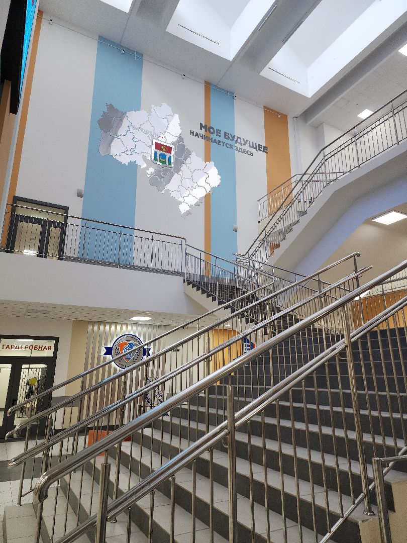 благотворительная акция, Сбор корма для животных, День добрых дел,