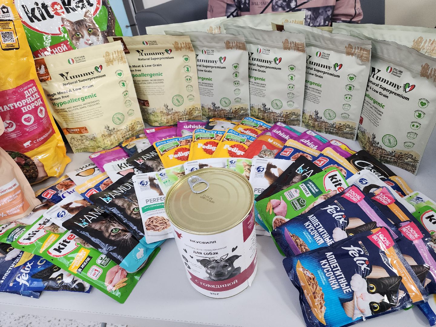 благотворительная акция, Сбор корма для животных, День добрых дел,