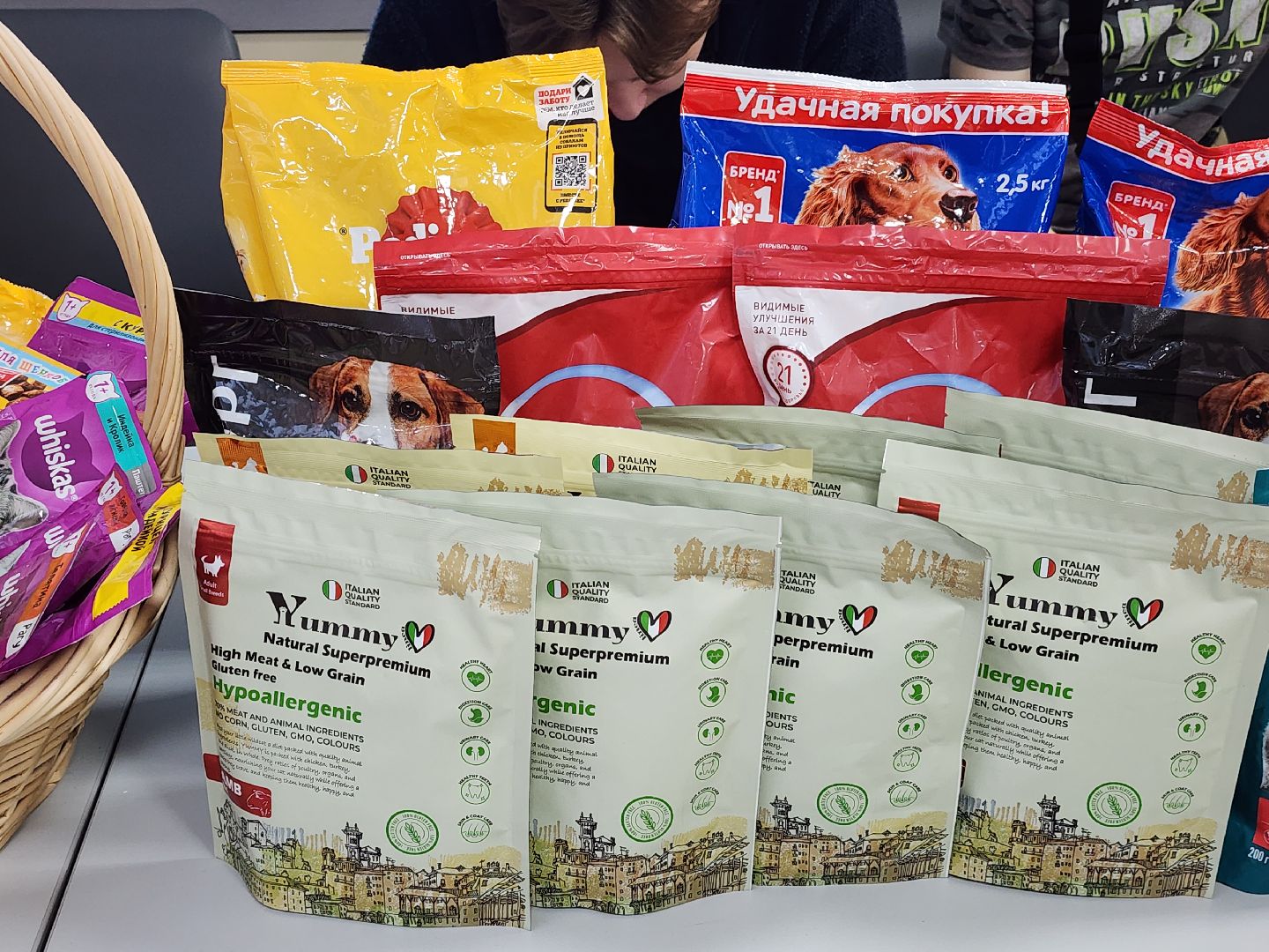 благотворительная акция, Сбор корма для животных, День добрых дел,