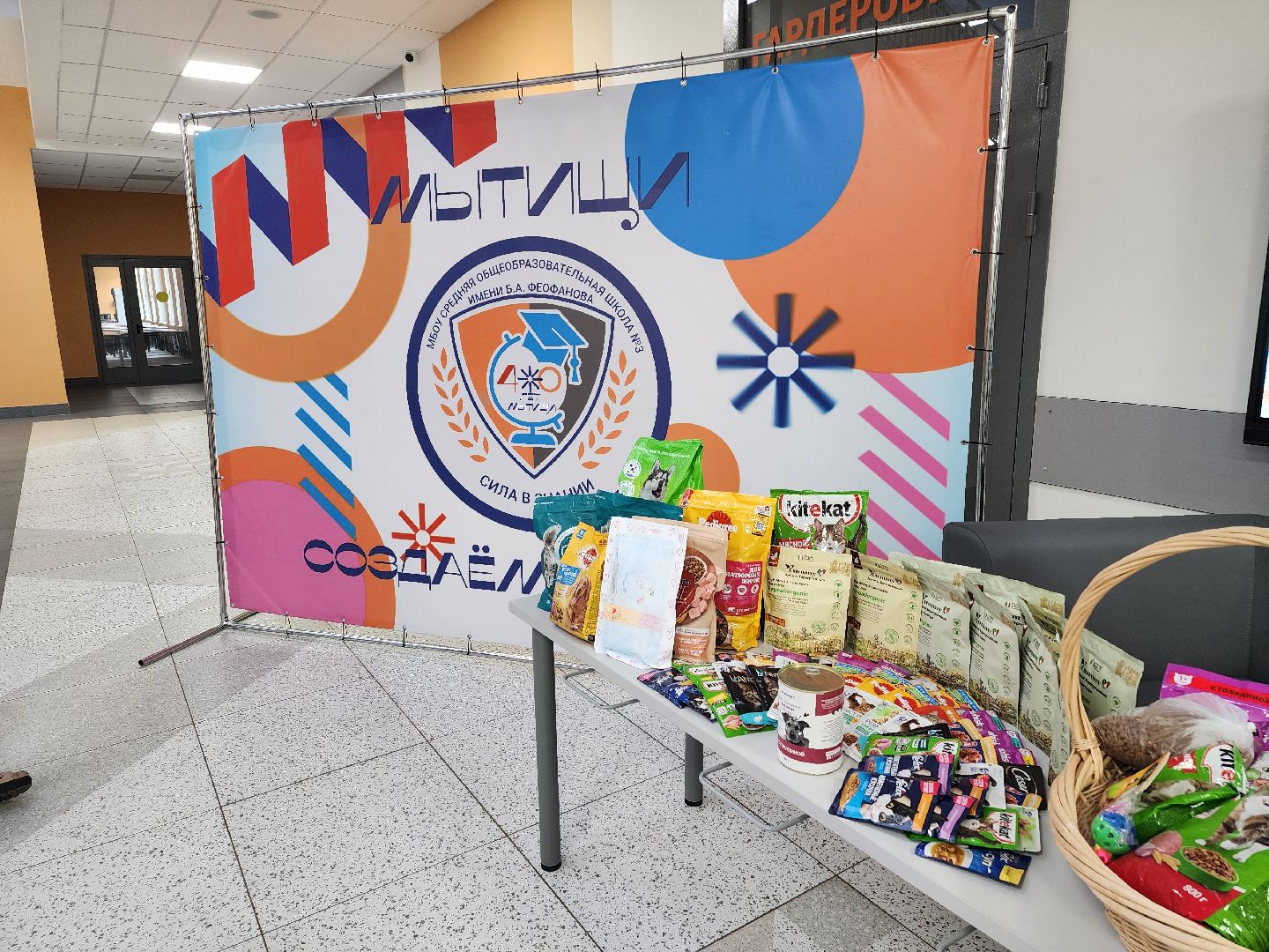 благотворительная акция, Сбор корма для животных, День добрых дел,