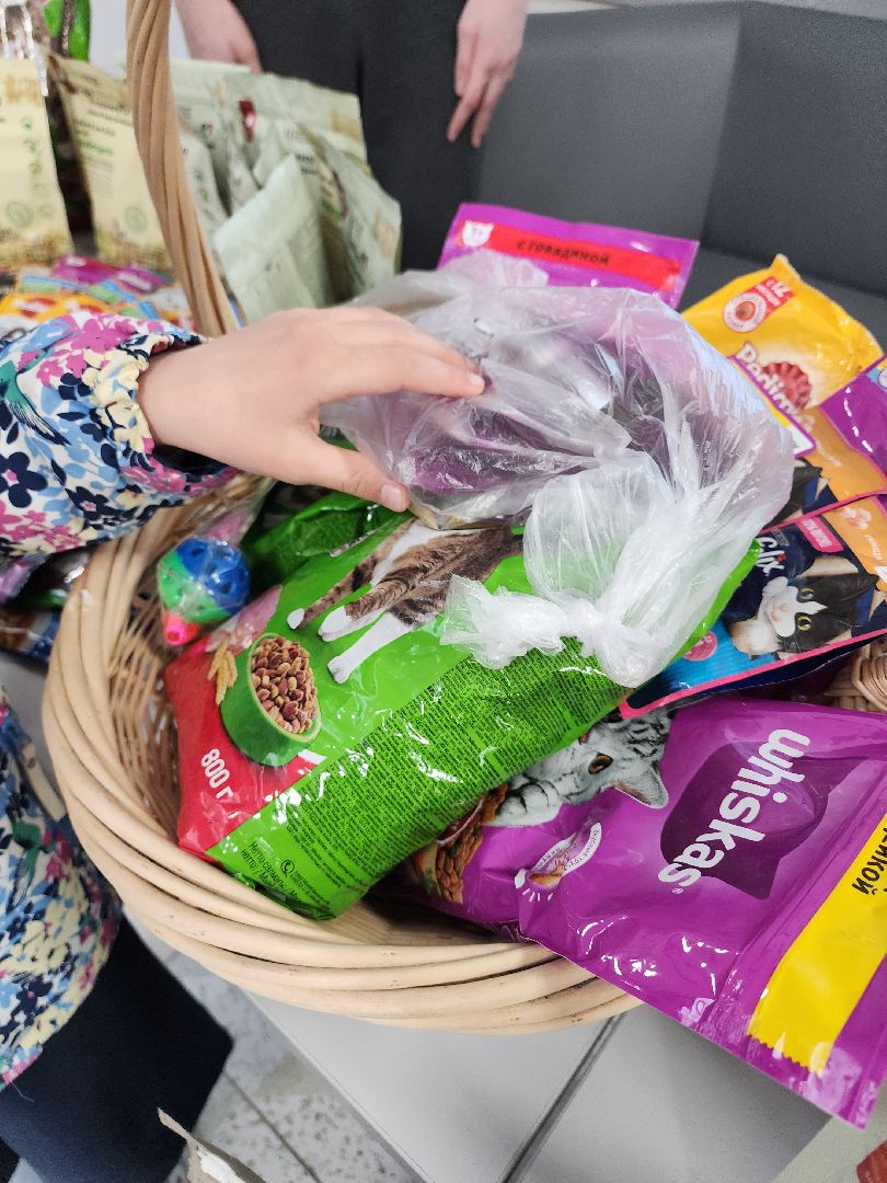 благотворительная акция, Сбор корма для животных, День добрых дел,