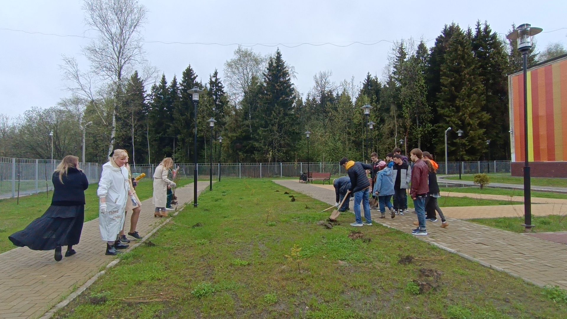 экология, посадка деревьев, школа,