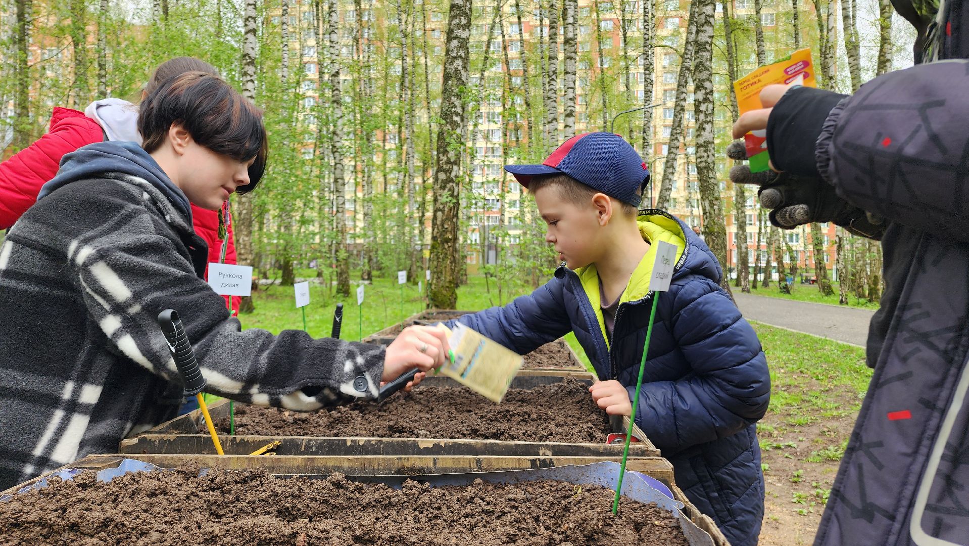 Домодедово, парковая дверь, Парк Елочки, Городской лес, Лесопарк, Подмосковье, Общественный огород, Посадка семян, День добрых дел, Грядки, овощи, культура, благоустройсво,