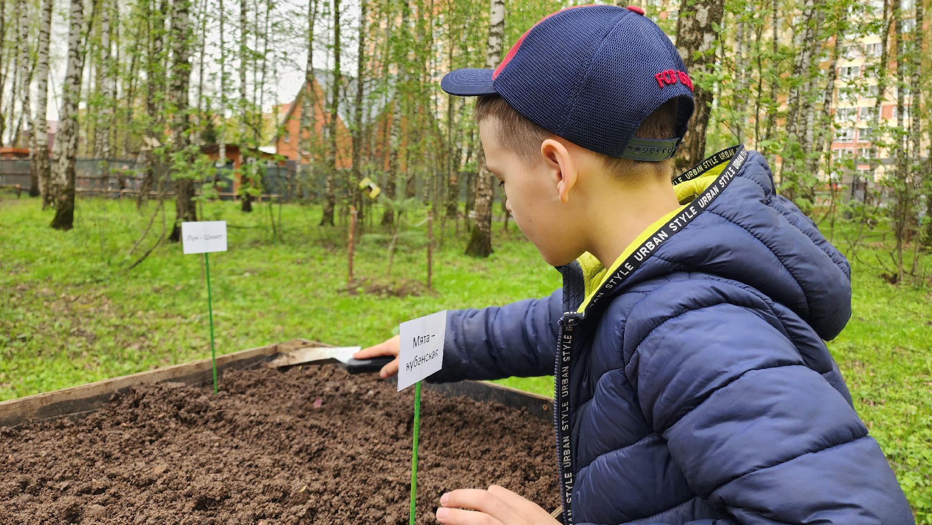 Домодедово, парковая дверь, Парк Елочки, Городской лес, Лесопарк, Подмосковье, Общественный огород, Посадка семян, День добрых дел, Грядки, овощи, культура, благоустройсво,