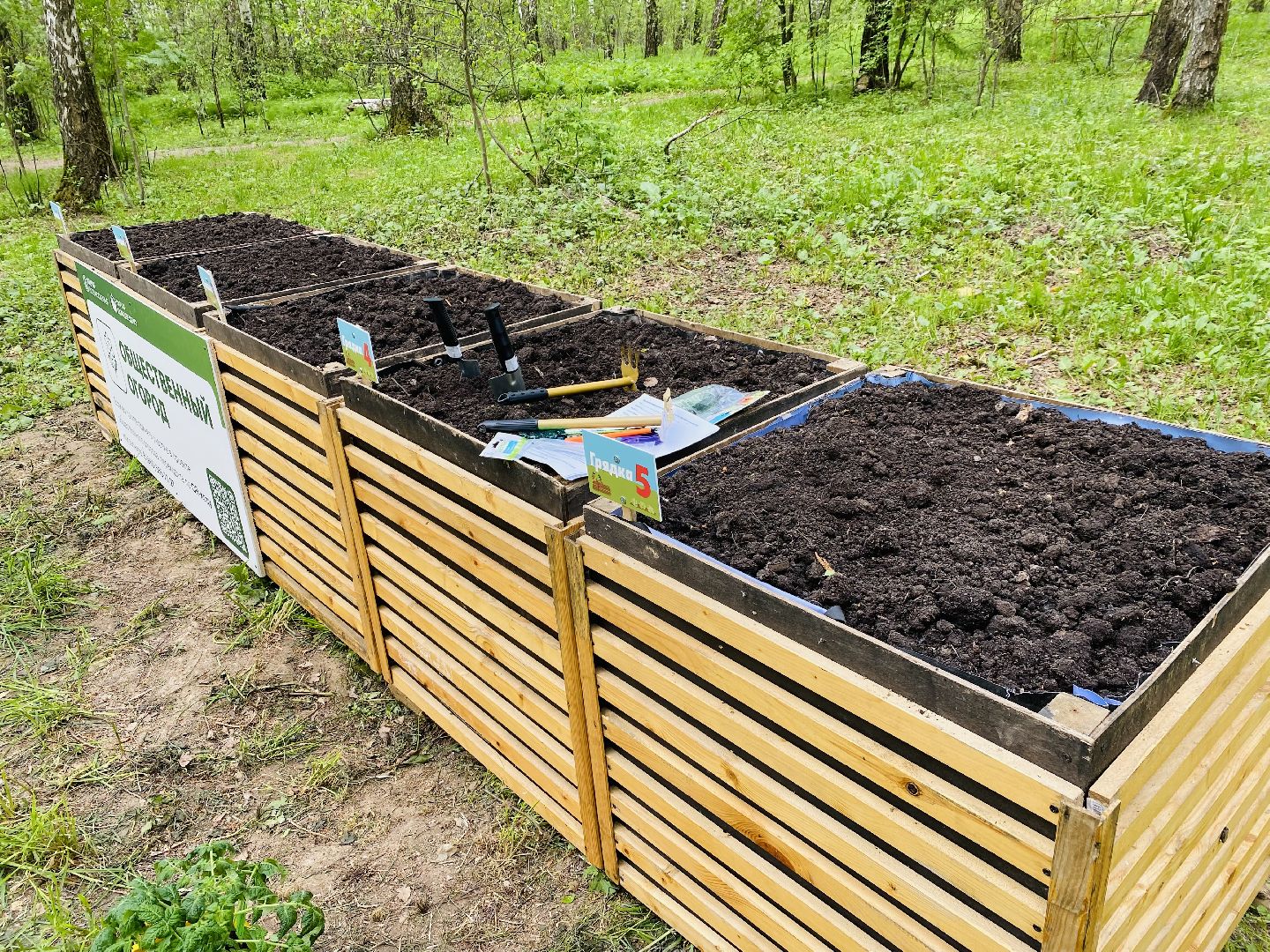 Домодедово, парковая дверь, Парк Елочки, Городской лес, Лесопарк, Подмосковье, Общественный огород, Посадка семян, День добрых дел, Грядки, овощи, культура, благоустройсво,