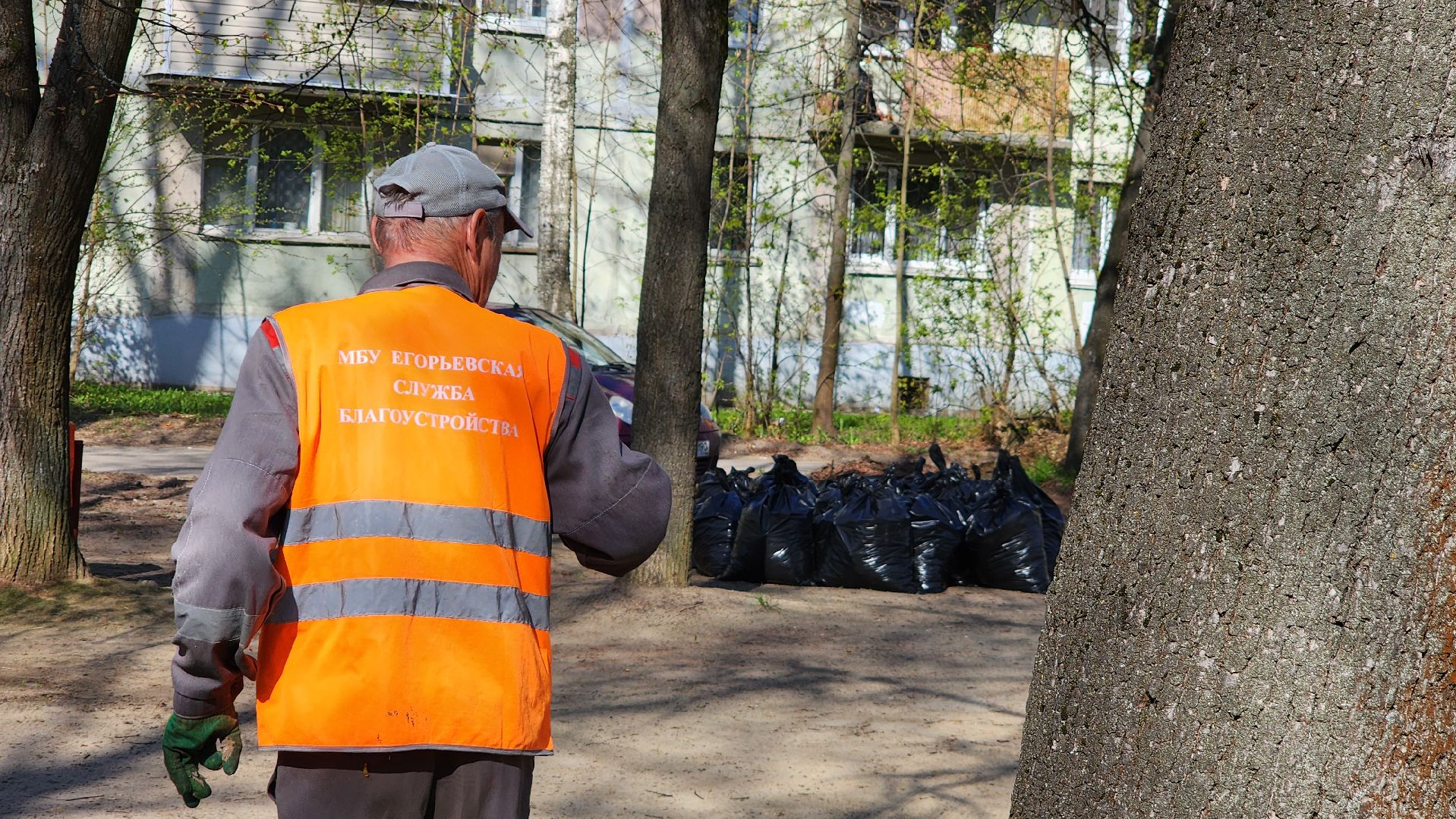 Егорьевск, акция, День добрых дел, Подмосковье, Московская область,