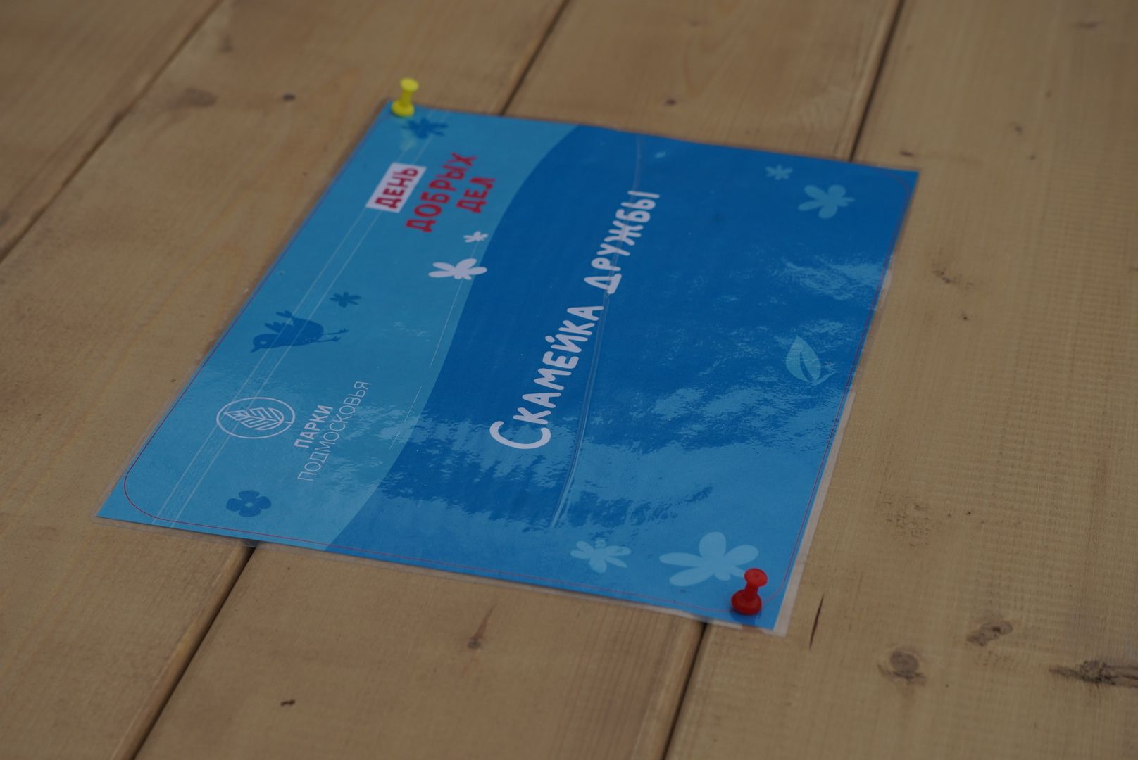 Павловский Посад, городской округ павловский посад, люди, парк, отдых, благоустройство, день добрых дел,