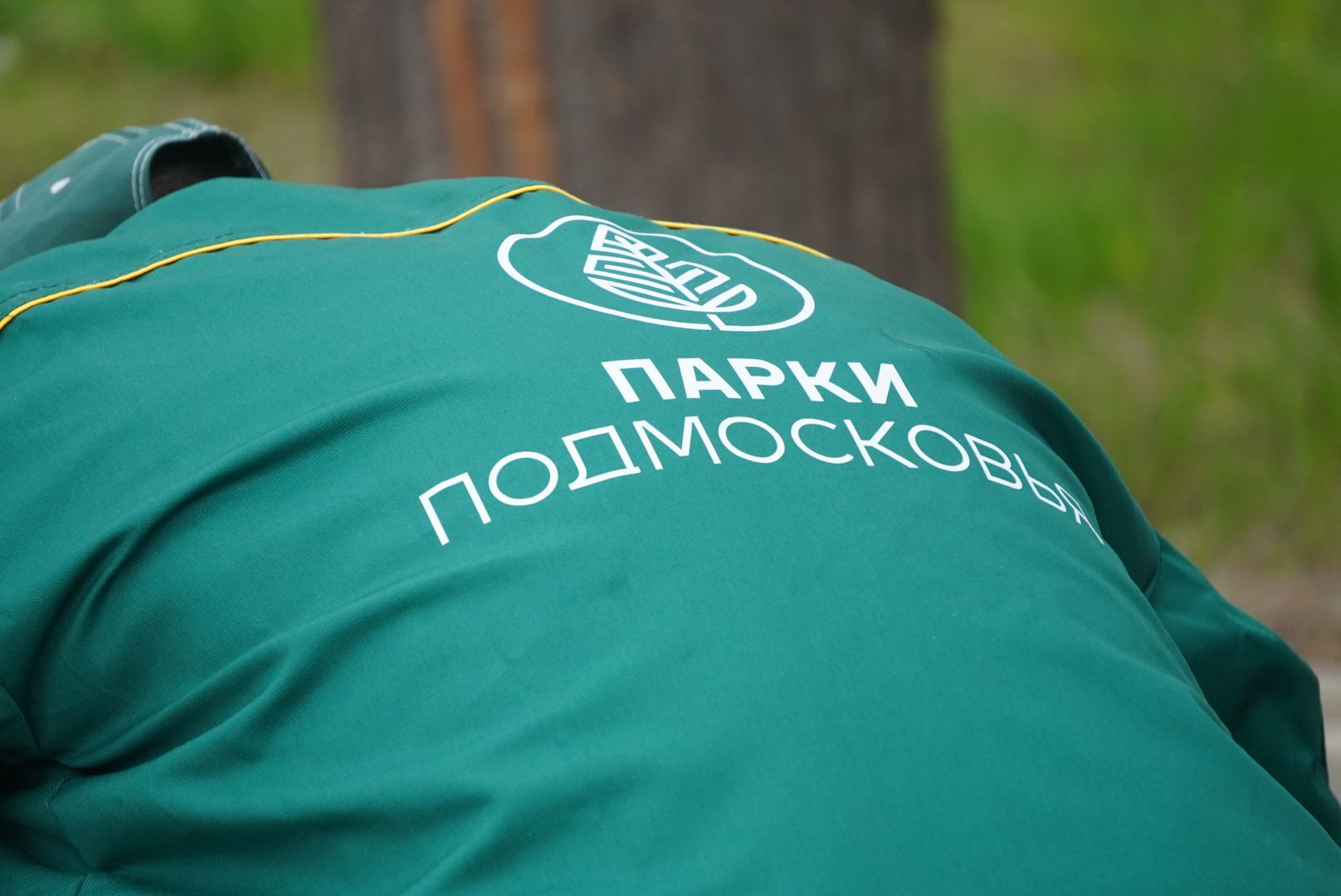 Павловский Посад, городской округ павловский посад, люди, парк, отдых, благоустройство, день добрых дел,