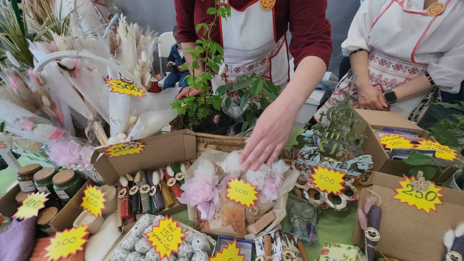 долгопрудный, технопарк, лицеисты, ярмарка, экология, день добрых дел,