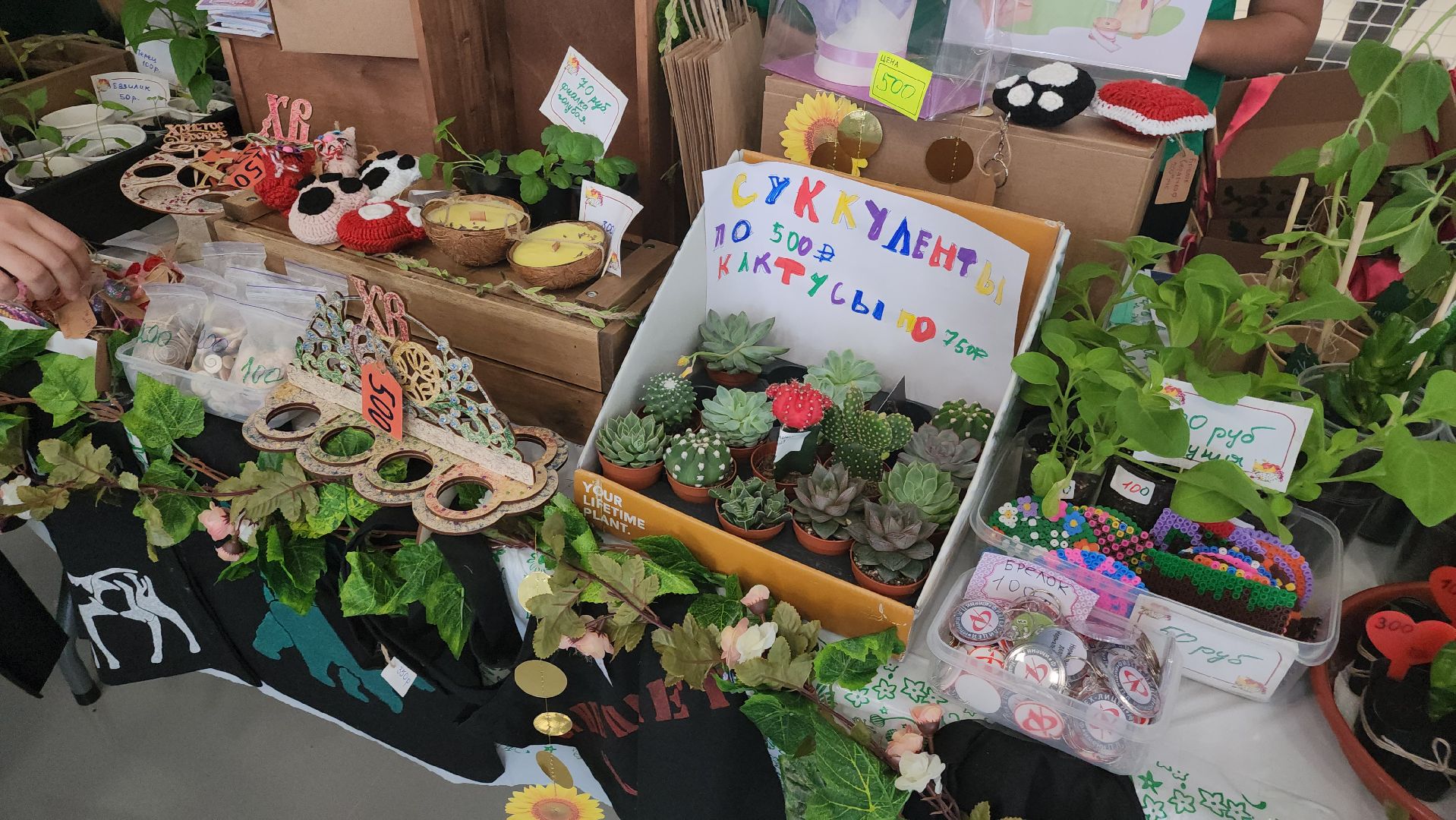 долгопрудный, технопарк, лицеисты, ярмарка, экология, день добрых дел,