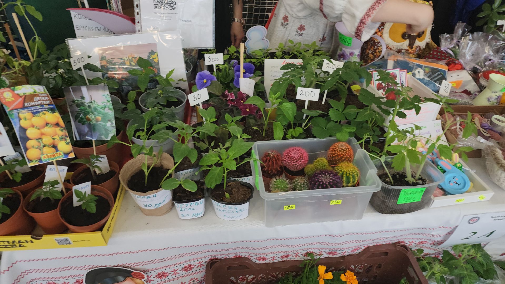 долгопрудный, технопарк, лицеисты, ярмарка, экология, день добрых дел,