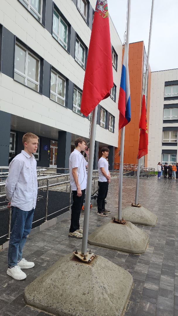 электросталь, мой город, жители города, акция, акция доброе дело, день добрых дел, гимназия 9, школьники, посадка деревьев,