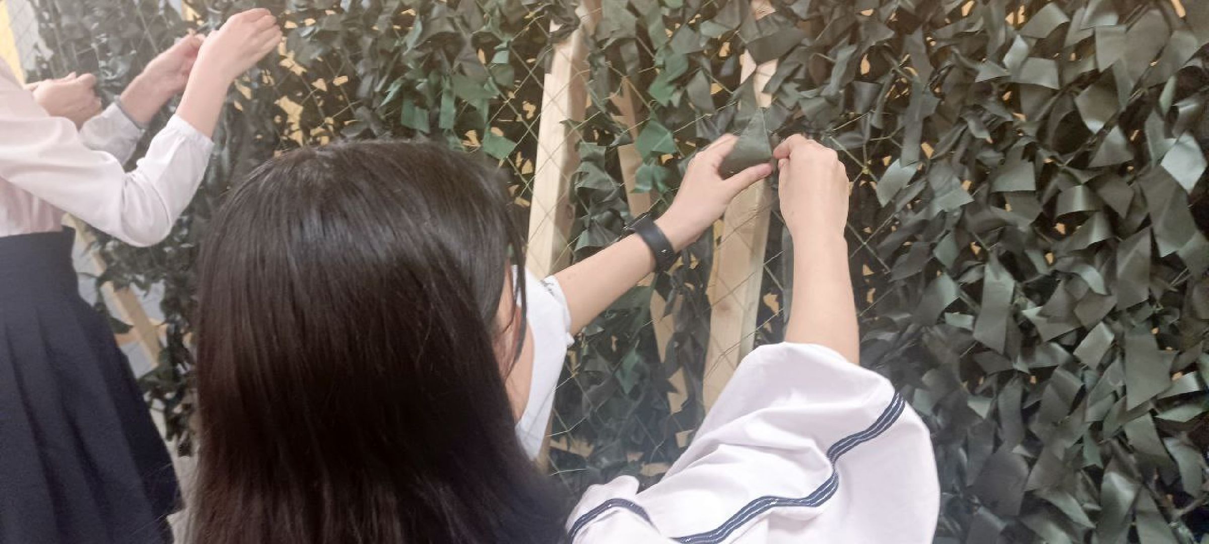 Дмитров, День добрых дел,