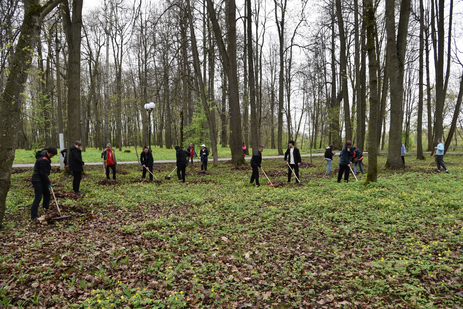 лотошино, лотошинский парк, субботник, день добрых дел, уборка территории,