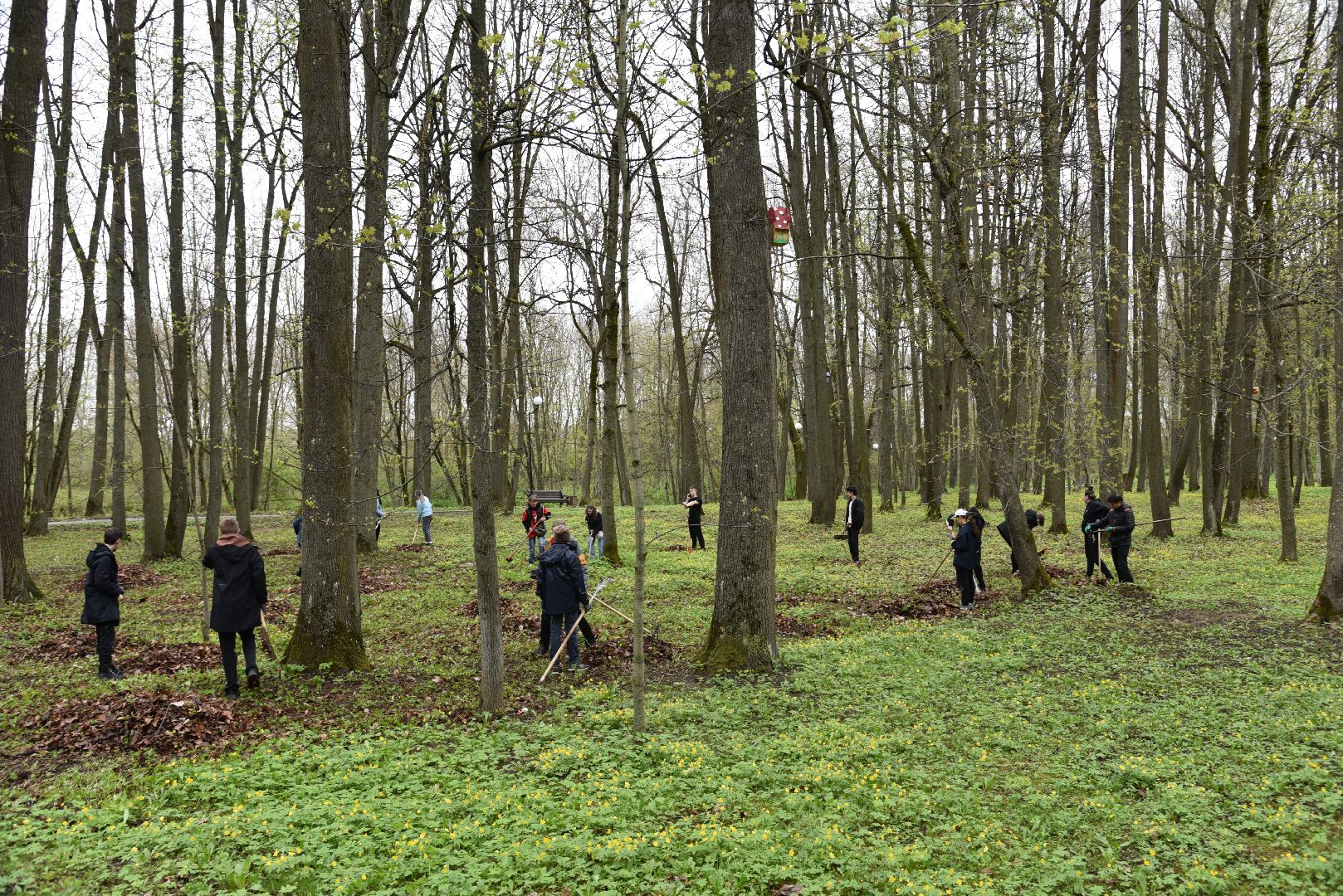 лотошино, лотошинский парк, субботник, день добрых дел, уборка территории,