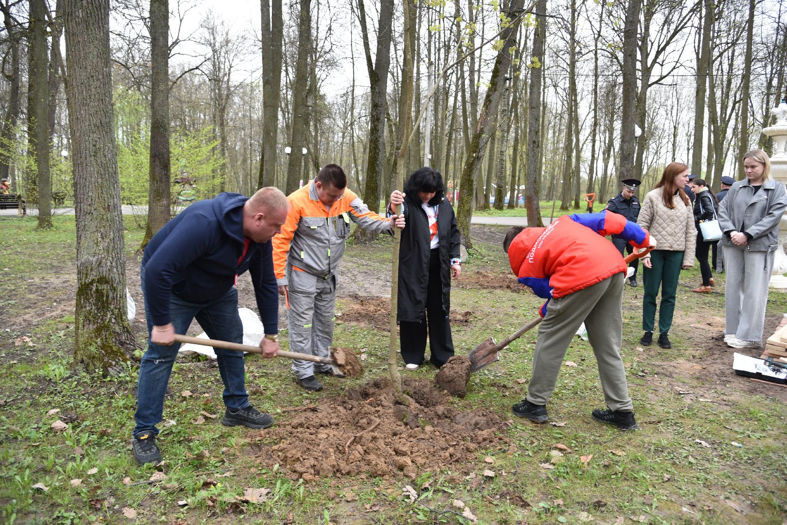 лотошино, лотошинский парк, акция, день добрых дел, субботник, высадка деревьев,