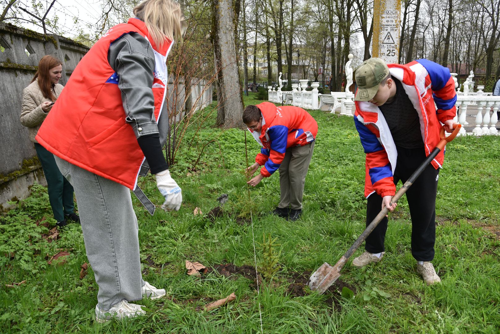 лотошино, лотошинский парк, акция, день добрых дел, субботник, высадка деревьев,