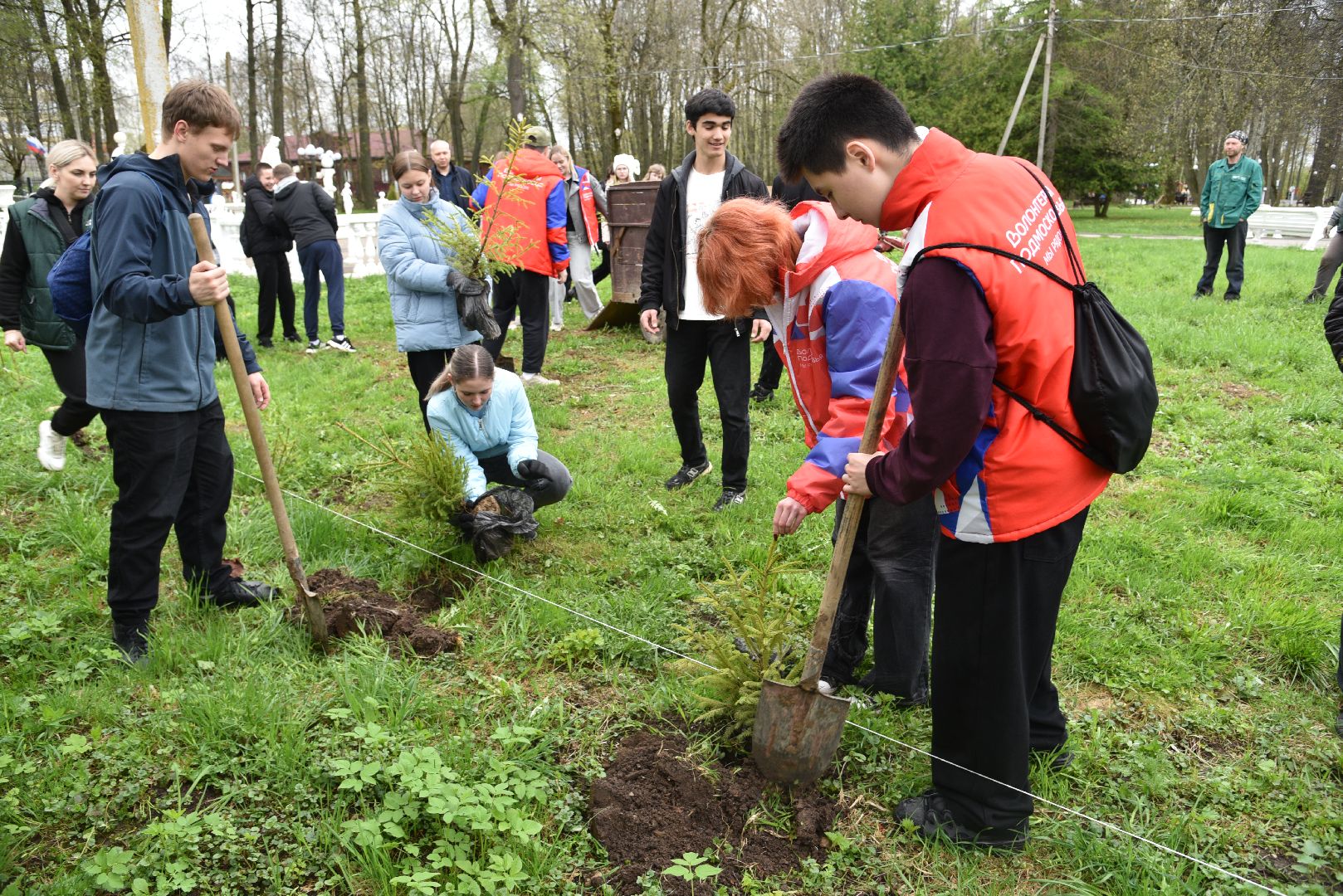 лотошино, лотошинский парк, акция, день добрых дел, субботник, высадка деревьев,