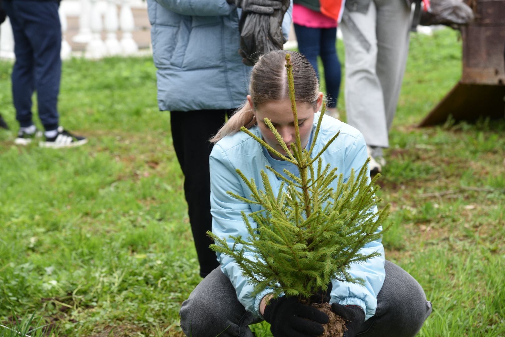 лотошино, лотошинский парк, акция, день добрых дел, субботник, высадка деревьев,