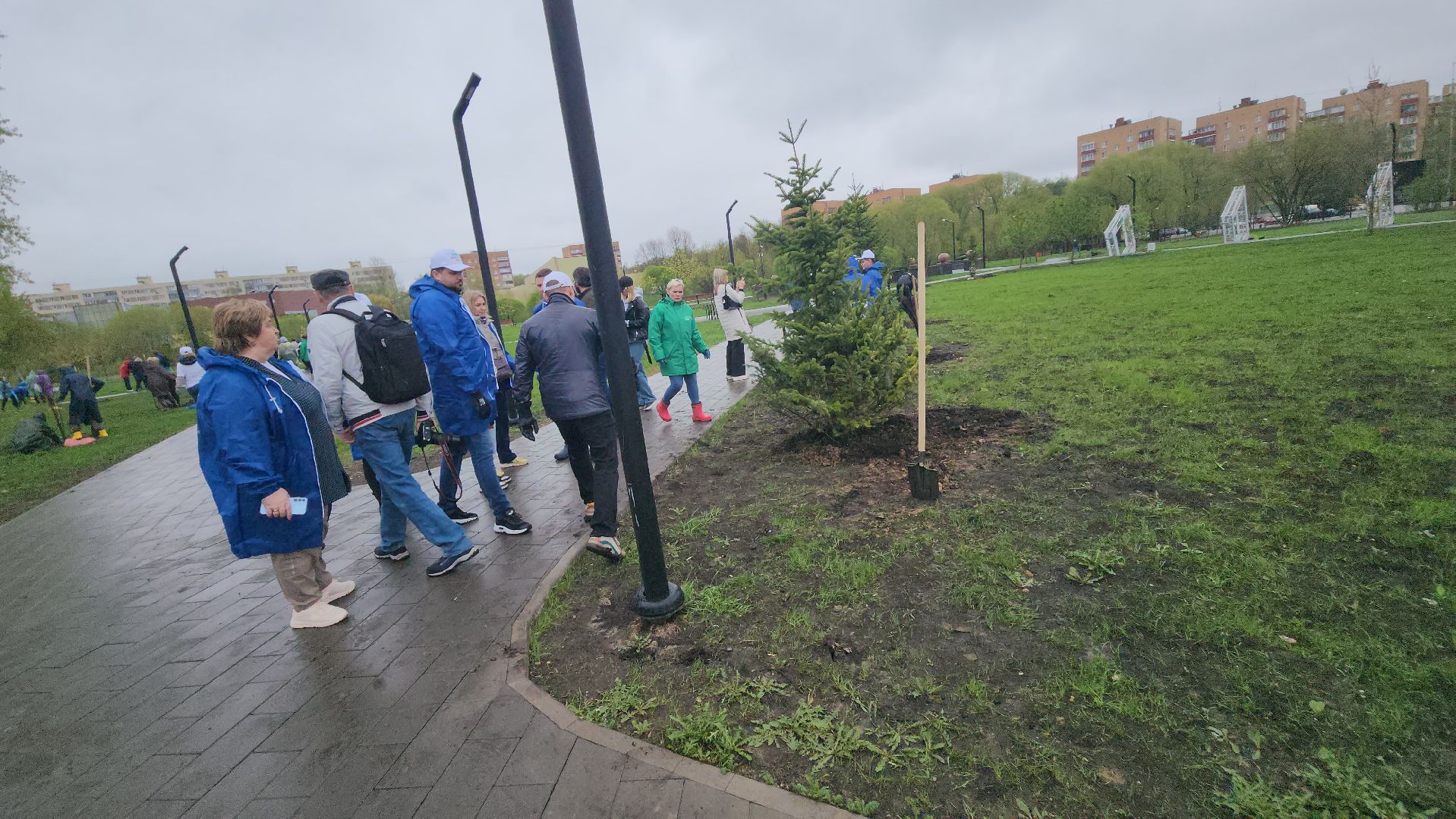 долгопрудный, субботник, день добрых дел, лес победы, общественный огород, пихты, владислав юдин,