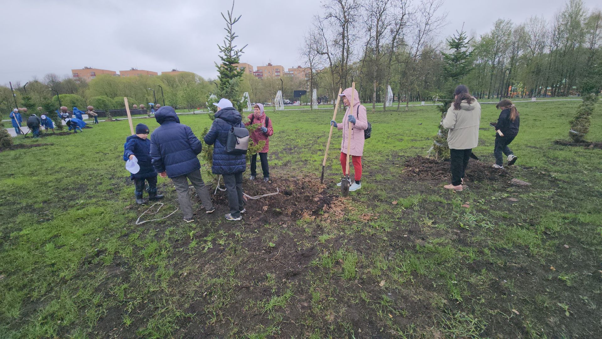 долгопрудный, субботник, день добрых дел, лес победы, общественный огород, пихты, владислав юдин,