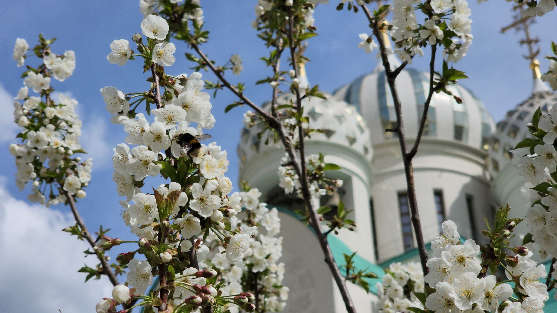 красногорск, пасха, павшинская пойма, вербное воскресенье,