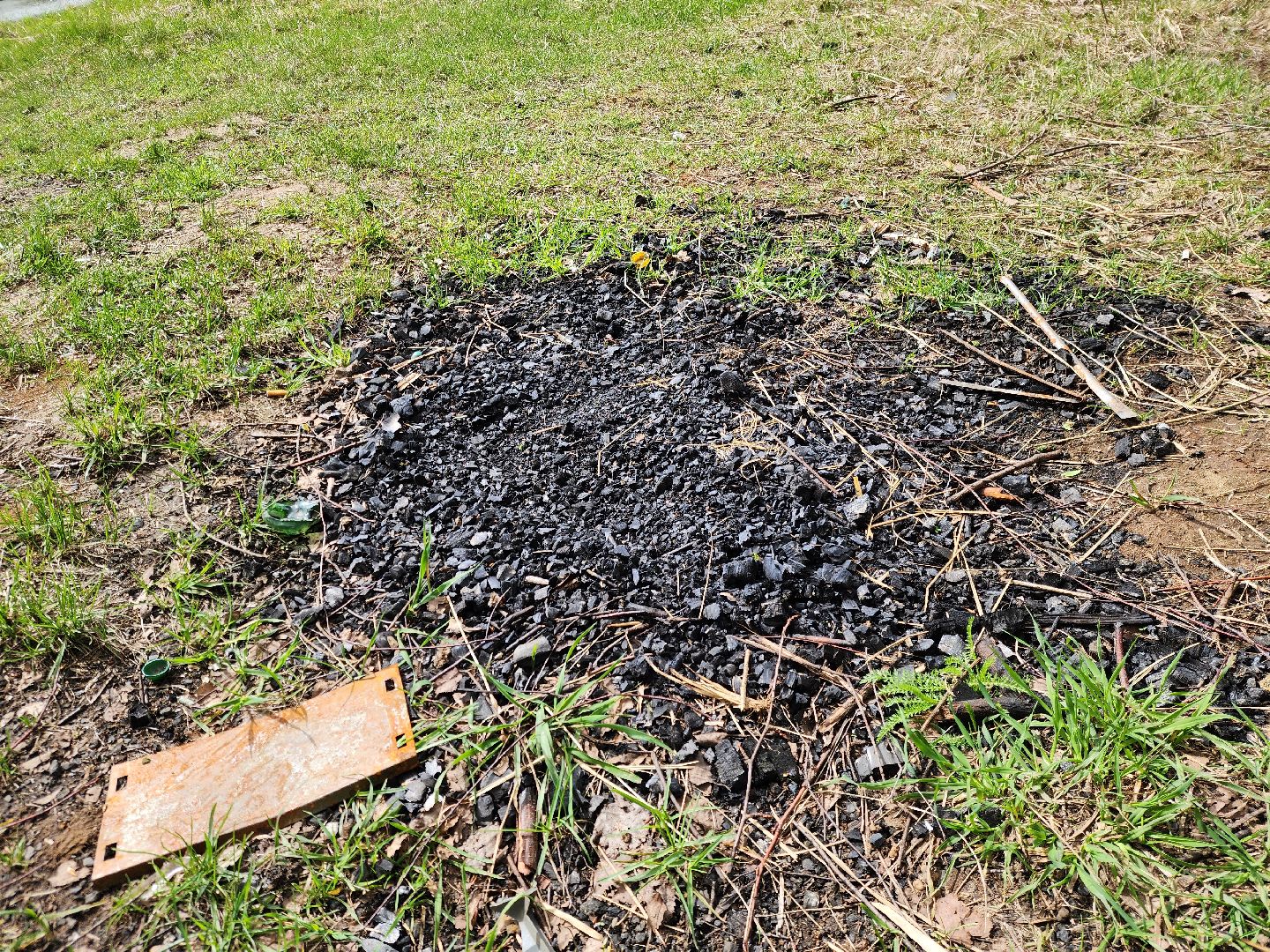 ногинск, богородский городский округ, пикник, пожары, лес,