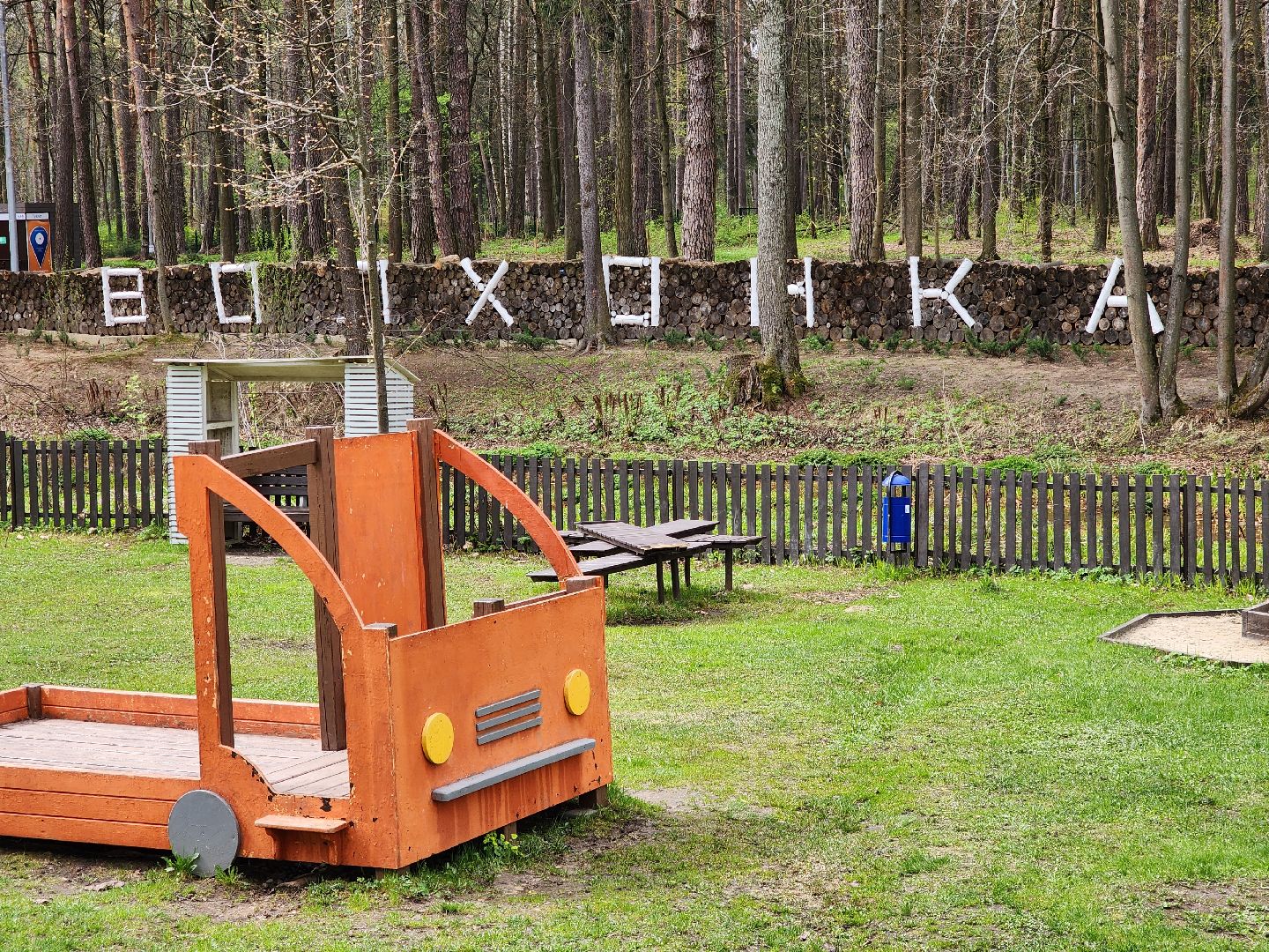 ногинск, богородский городский округ, пикник, пожары, лес,