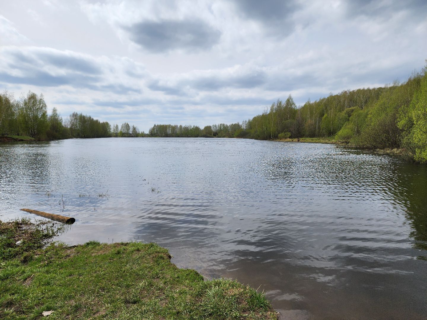 ногинск, богородский городский округ, пикник, пожары, лес,