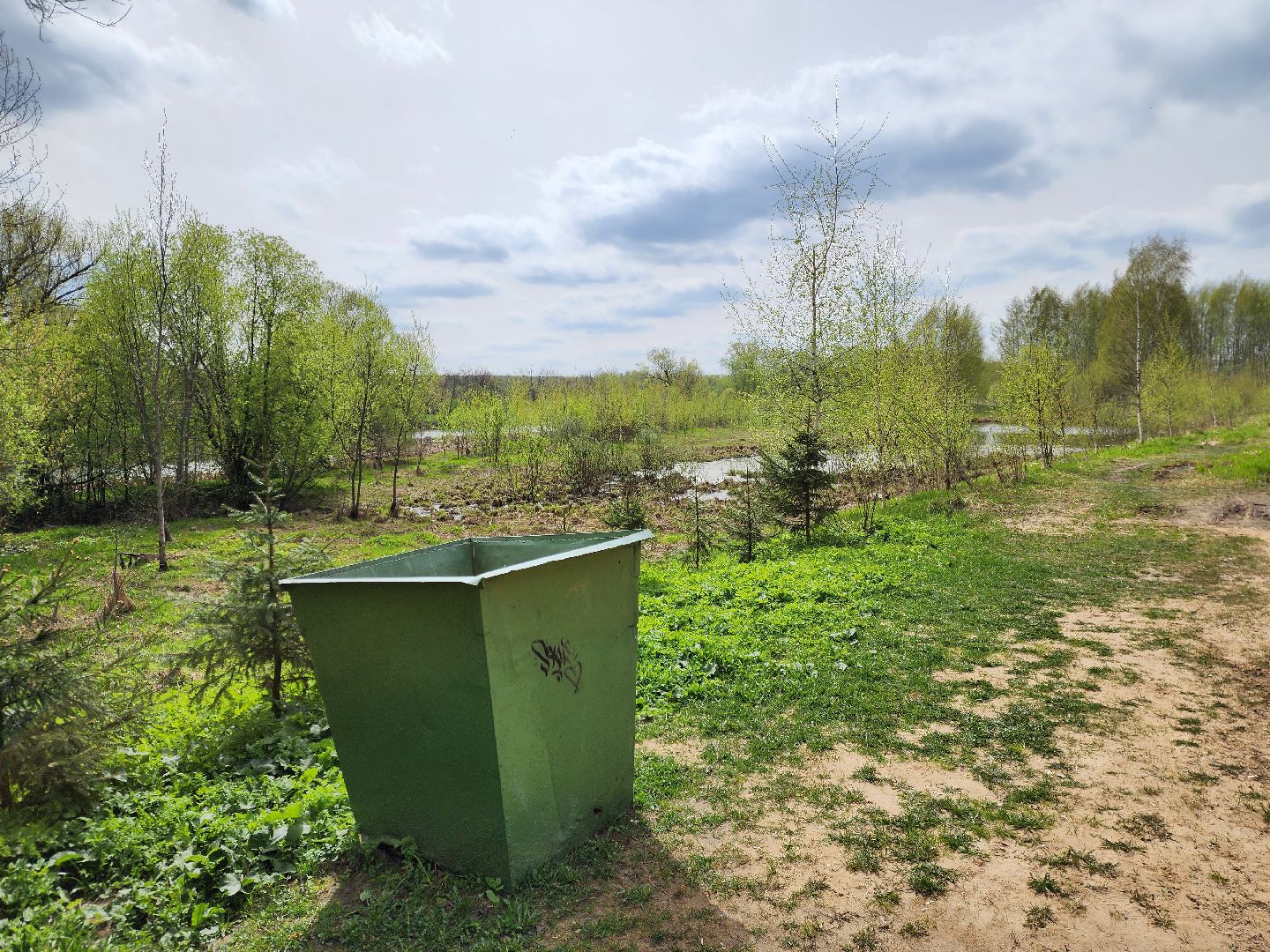 ногинск, богородский городский округ, пикник, пожары, лес,