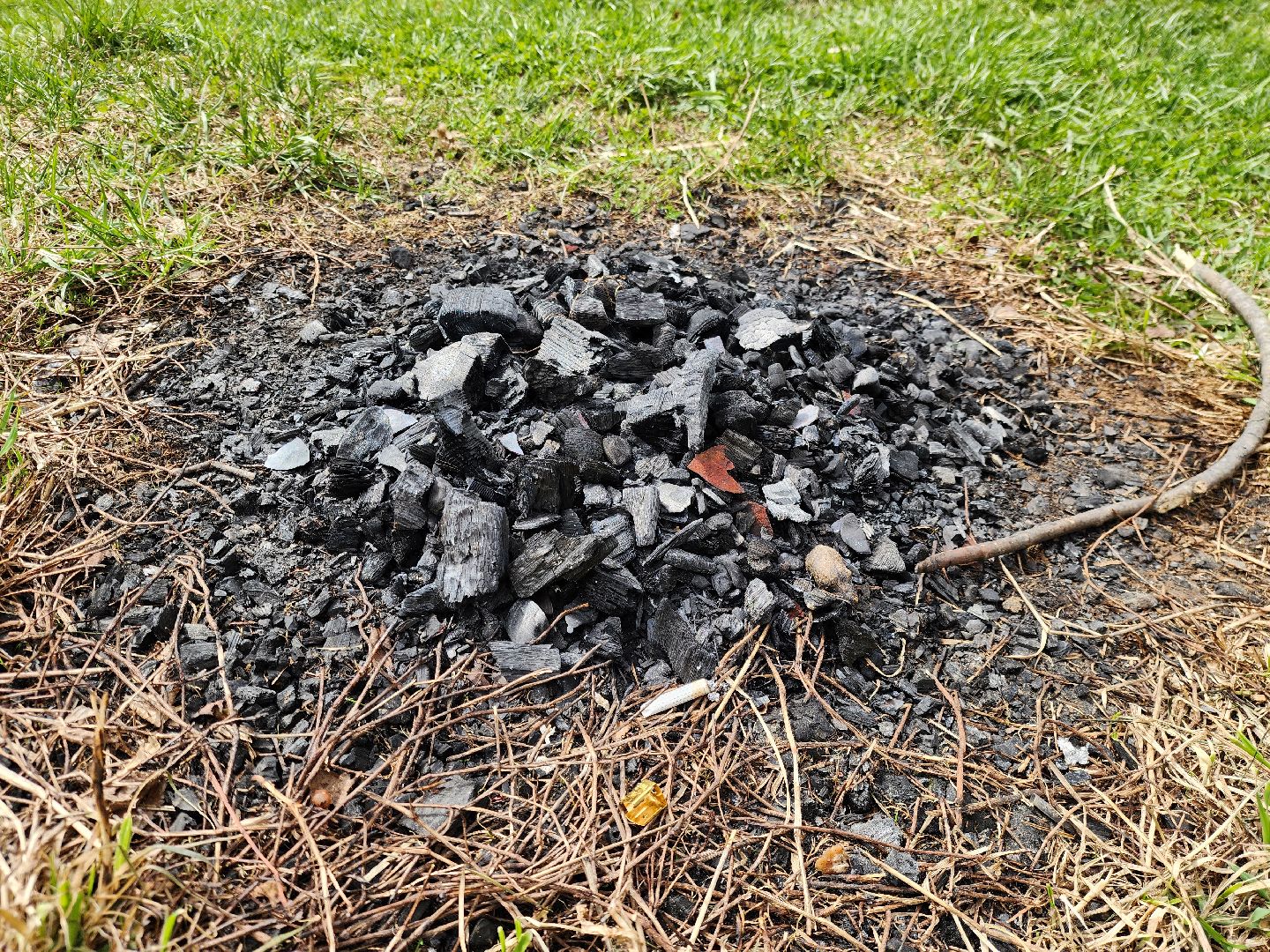 ногинск, богородский городский округ, пикник, пожары, лес,