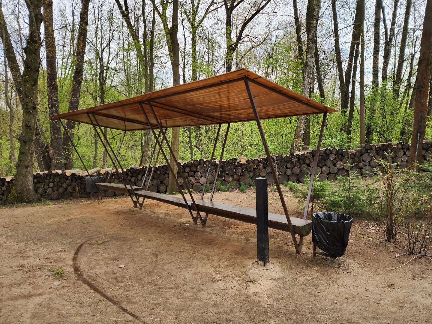 ногинск, богородский городский округ, пикник, пожары, лес,